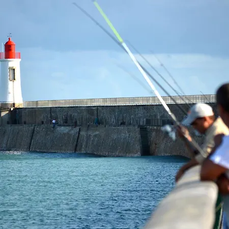 Le Puits Rochais אתר קמפינג Les Sables-dʼOlonne